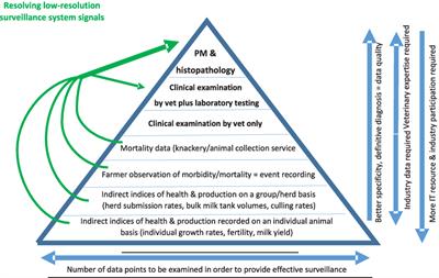 The Potential for Big Data in Animal Disease Surveillance in Ireland